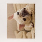 Kutest Baby Animals | Franse Bulldog Head Tilt Legpuzzel (Verticaal)