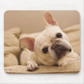 Kutest Baby Animals | Franse Bulldog Head Tilt Muismat (Voorkant)