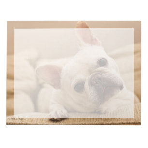 Kutest Baby Animals Franse Bulldog Head Tilt Notitieblok