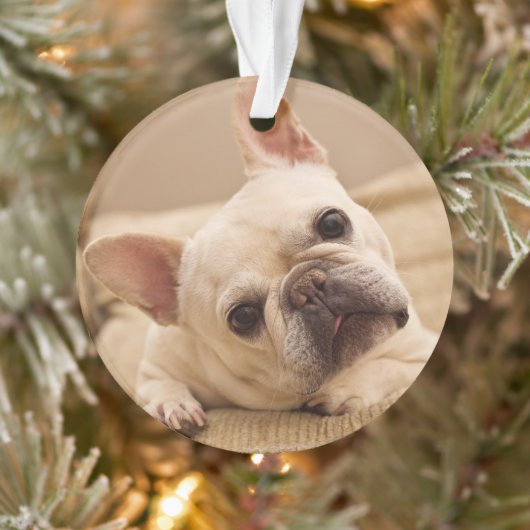 Kutest Baby Animals | Franse Bulldog Head Tilt Ornament (Boom)