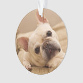 Kutest Baby Animals | Franse Bulldog Head Tilt Ornament (voorkant)