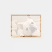 Kutest Baby Animals | Franse Bulldog Head Tilt Post-it® Notes (Voorkant)