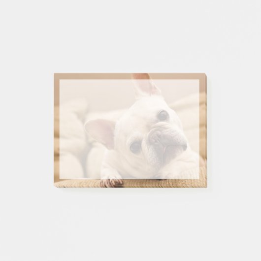 Kutest Baby Animals | Franse Bulldog Head Tilt Post-it® Notes (Voorkant)