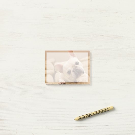 Kutest Baby Animals | Franse Bulldog Head Tilt Post-it® Notes (Op bureau)