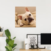 Kutest Baby Animals | Franse Bulldog Head Tilt Poster (Thuiskantoor)
