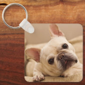Kutest Baby Animals | Franse Bulldog Head Tilt Sleutelhanger (Voorkant)