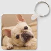 Kutest Baby Animals | Franse Bulldog Head Tilt Sleutelhanger (Achterkant)