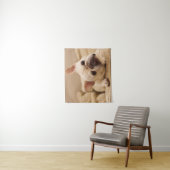 Kutest Baby Animals | Franse Bulldog Head Tilt Wandkleed (In situ)