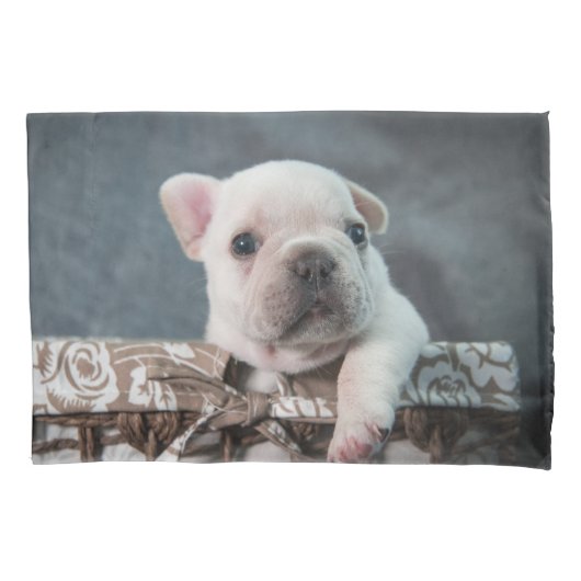 Kutest Baby Animals | Franse Bulldog Kussensloop (Voorkant)