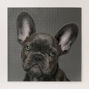 Kutest Baby Animals Franse Bulldog Legpuzzel