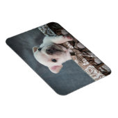 Kutest Baby Animals | Franse Bulldog Magneet (Rechterzijde)
