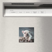 Kutest Baby Animals | Franse Bulldog Magneet (Insitu (Vaatwasser))