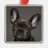 Kutest Baby Animals | Franse Bulldog Metalen Ornament (Voorkant)