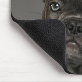 Kutest Baby Animals | Franse Bulldog Muismat (Hoek)