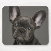 Kutest Baby Animals | Franse Bulldog Muismat (Voorkant)