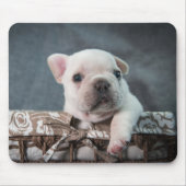 Kutest Baby Animals | Franse Bulldog Muismat (Voorkant)