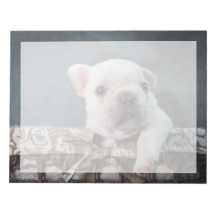 Kutest Baby Animals Franse Bulldog Notitieblok