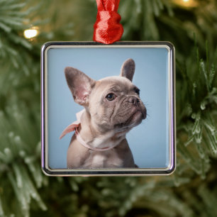Kutest Baby Animals Franse Bulldog Pink Bow Metalen Ornament