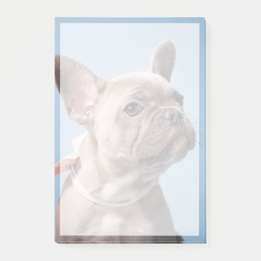 Kutest Baby Animals | Franse Bulldog Pink Bow Post-it® Notes (Voorkant)