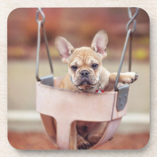 Kutest Baby Animals Franse Bulldog Playground Bier Onderzetter