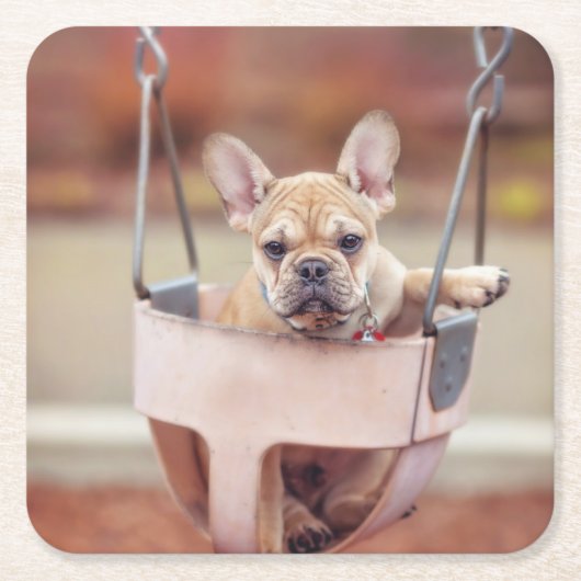 Kutest Baby Animals | Franse Bulldog Playground Kartonnen Onderzetters (Voorkant)