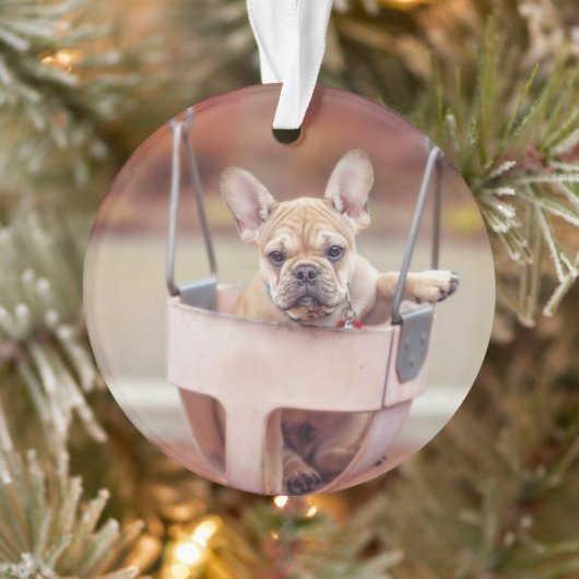 Kutest Baby Animals | Franse Bulldog Playground Ornament (Boom)