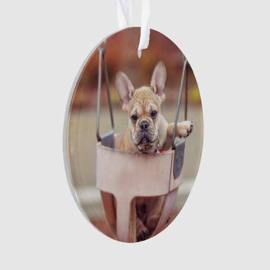 Kutest Baby Animals | Franse Bulldog Playground Ornament (voorkant)