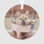 Kutest Baby Animals | Franse Bulldog Playground Ornament (achterkant)