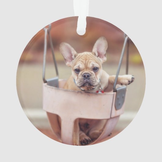 Kutest Baby Animals | Franse Bulldog Playground Ornament (achterkant)