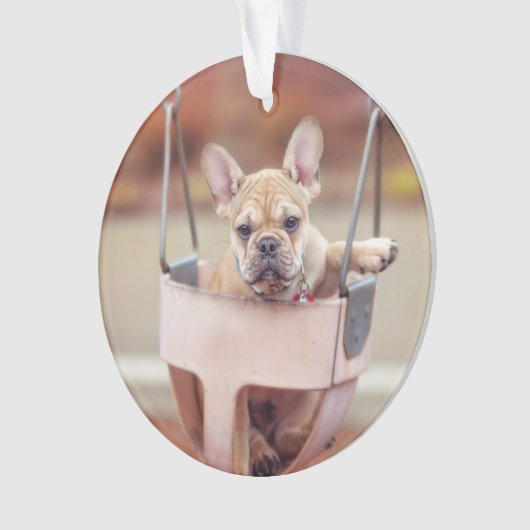 Kutest Baby Animals | Franse Bulldog Playground Ornament (voorkant)