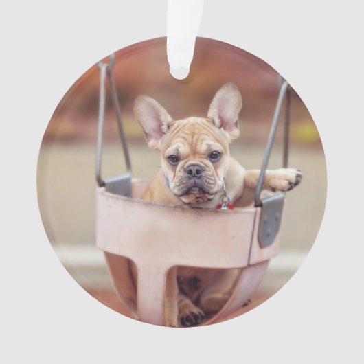 Kutest Baby Animals | Franse Bulldog Playground Ornament (voorkant)