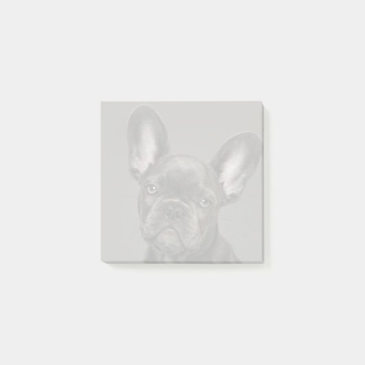 Kutest Baby Animals | Franse Bulldog Post-it® Notes (Voorkant)