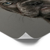 Kutest Baby Animals | Franse Bulldog Poster (Hoek)