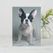 Kutest Baby Animals | Franse Bulldog Puppy Bedankkaart (Staand voorkant)