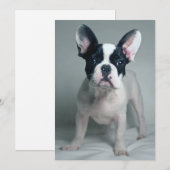 Kutest Baby Animals | Franse Bulldog Puppy Bedankkaart (Voorkant / Achterkant)