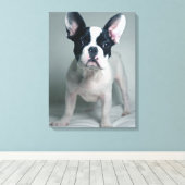 Kutest Baby Animals | Franse Bulldog Puppy Canvas Afdruk (Insitu (Houten vloer))