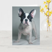 Kutest Baby Animals | Franse Bulldog Puppy Kaart (Gele Bloem)
