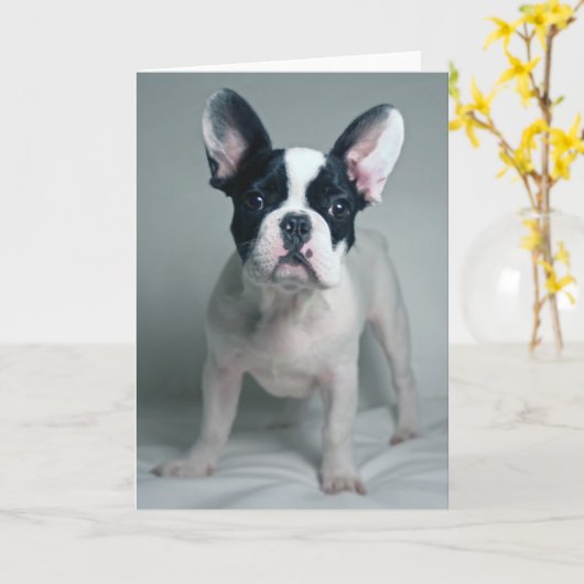 Kutest Baby Animals | Franse Bulldog Puppy Kaart (Gele Bloem)