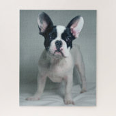 Kutest Baby Animals | Franse Bulldog Puppy Legpuzzel (Verticaal)