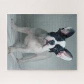 Kutest Baby Animals | Franse Bulldog Puppy Legpuzzel (Horizontaal)