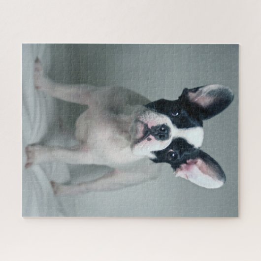 Kutest Baby Animals | Franse Bulldog Puppy Legpuzzel (Horizontaal)