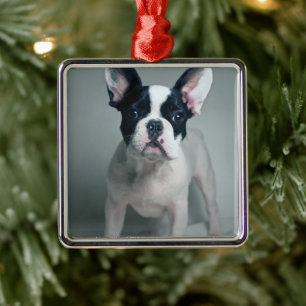 Kutest Baby Animals Franse Bulldog Puppy Metalen Ornament