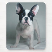 Kutest Baby Animals | Franse Bulldog Puppy Muismat (Voorkant)