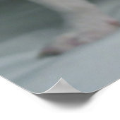 Kutest Baby Animals | Franse Bulldog Puppy Poster (Hoek)