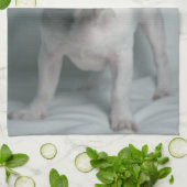 Kutest Baby Animals | Franse Bulldog Puppy Theedoek (Gevouwen)