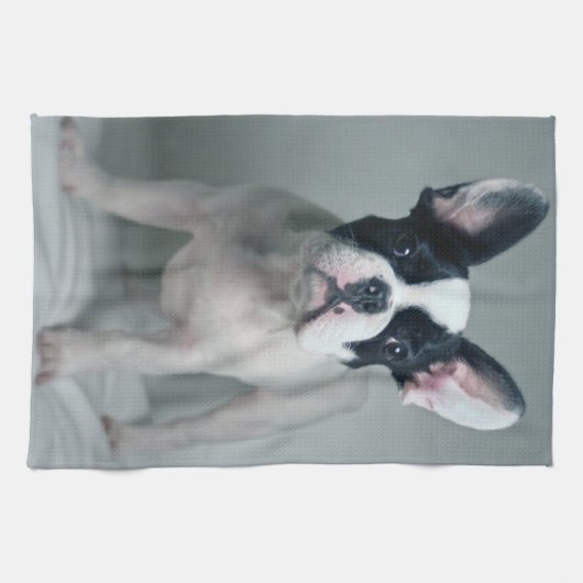 Kutest Baby Animals | Franse Bulldog Puppy Theedoek (Horizontaal)