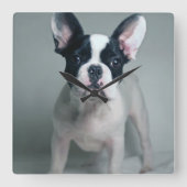 Kutest Baby Animals | Franse Bulldog Puppy Vierkante Klok (Voorkant)