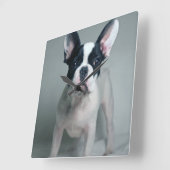 Kutest Baby Animals | Franse Bulldog Puppy Vierkante Klok (Hoek)