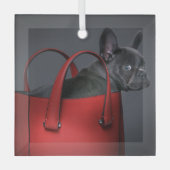 Kutest Baby Animals | Franse Bulldog Red Hand Bag Glas Ornament (Voorkant)