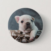Kutest Baby Animals | Franse Bulldog Ronde Button 5,7 Cm (Voorkant)